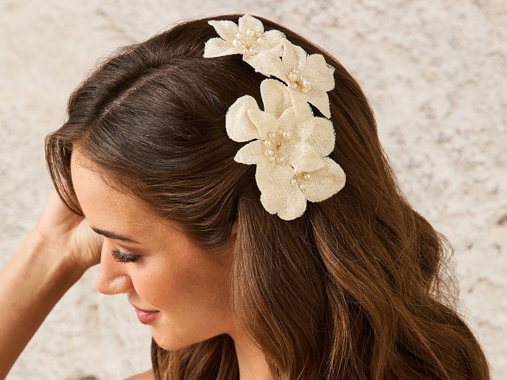 En Vogue HC2531 Image
